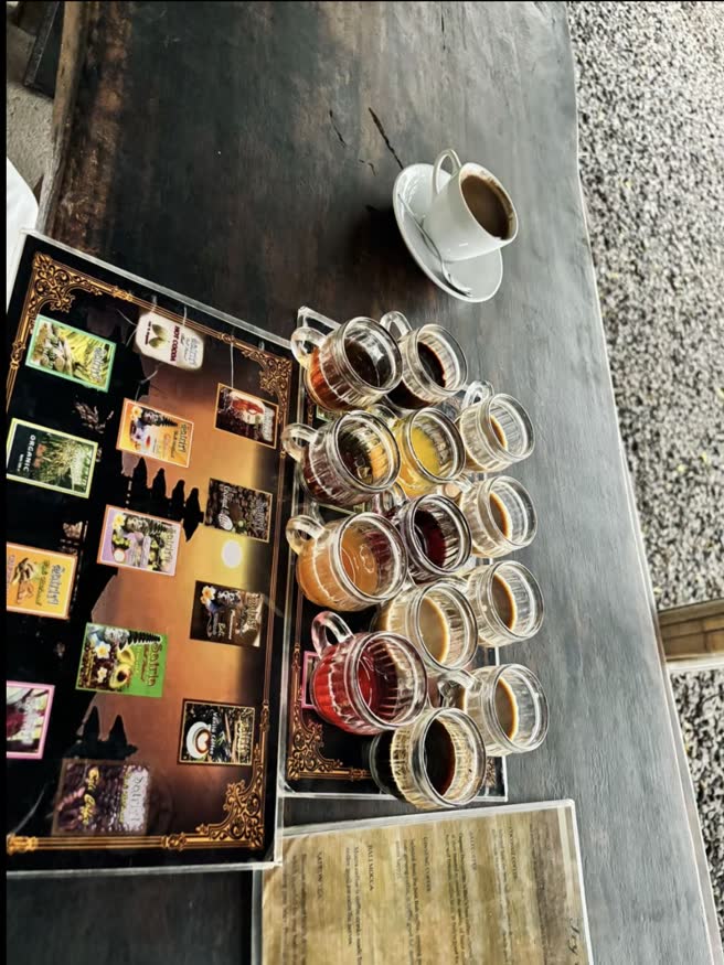 Coffee Plantation