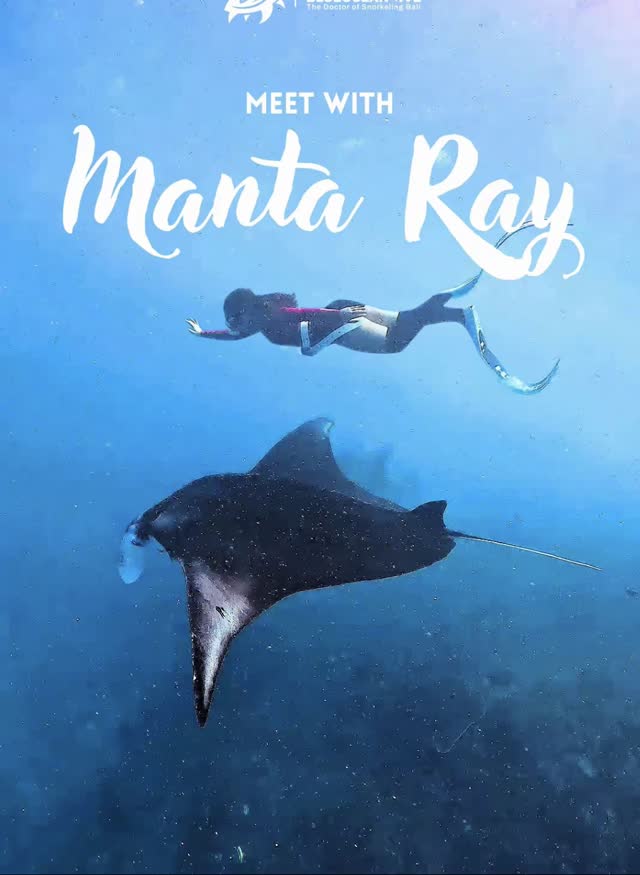 Manta Point
