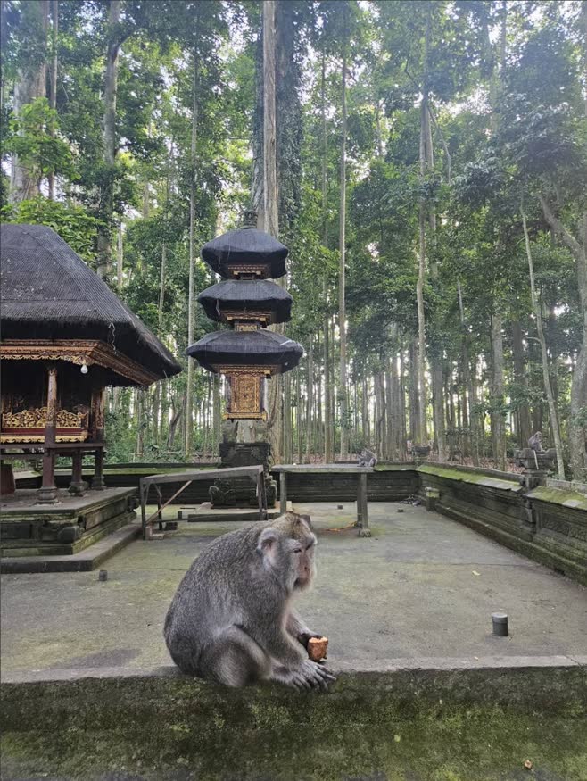 Sangeh Monkey Forest — quiet