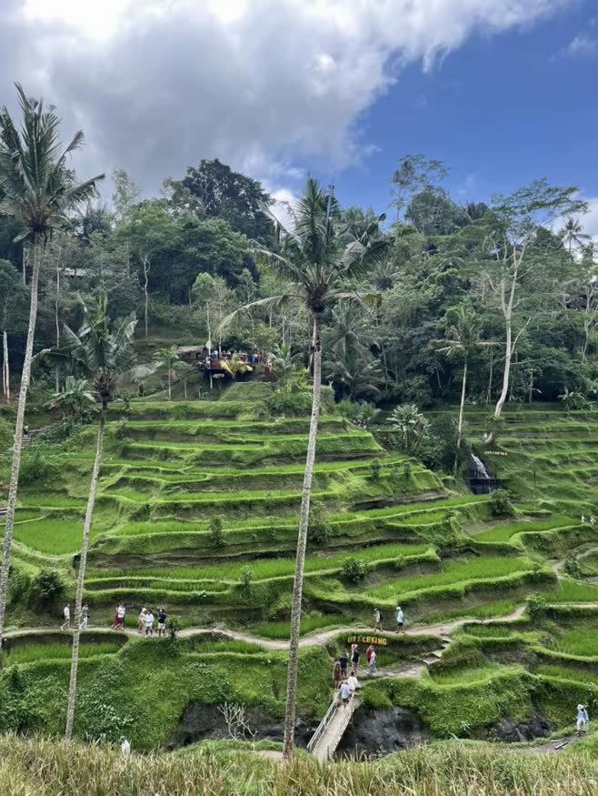 Tegalalang Rice Field